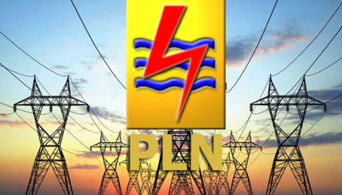 Lonjakan Tagihan Listrik Pascadiskon, DPR: PLN Ini Melindungi Rakyat atau…