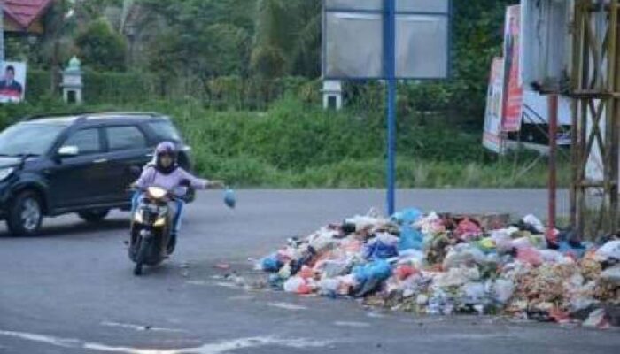 Grebek Dini Hari! Satpol PP Tasikmalaya Tangkap Tangan Pembuang Sampah Liar!
