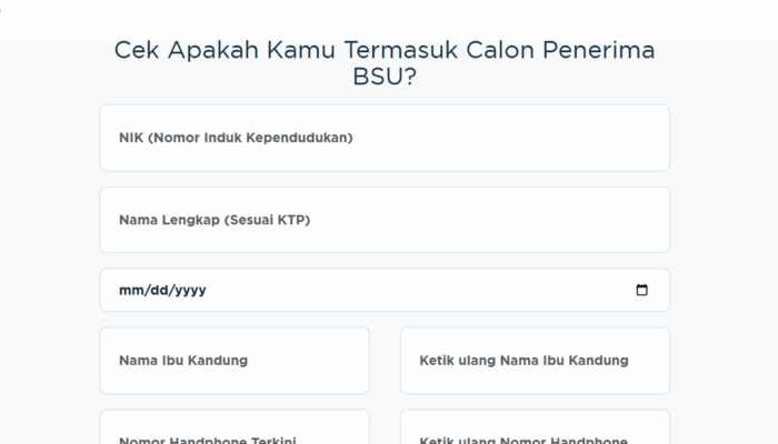 Cek Penerima BSU 2025 Bisa Lewat HP, Ini Langkah-Langkahnya