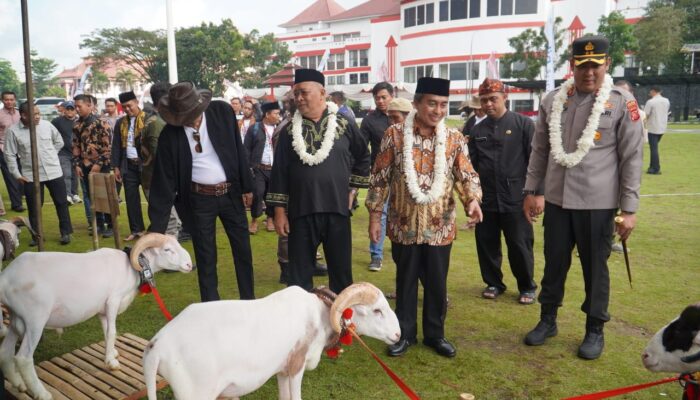 Kambing Bersolek, Domba Bergaya! Pesta Patok Jadi Ajang Fashion Show Ternak di Tasikmalaya 3 IMG 20250626 WA0016