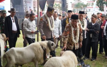 IMG 20250626 WA0018