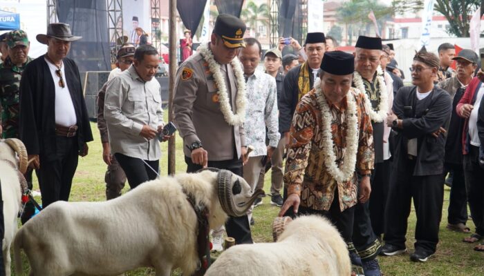 Kambing Bersolek, Domba Bergaya! Pesta Patok Jadi Ajang Fashion Show Ternak di Tasikmalaya