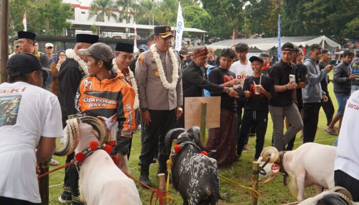 Kambing Bersolek, Domba Bergaya! Pesta Patok Jadi Ajang Fashion Show Ternak di Tasikmalaya 2 IMG 20250626 WA0019