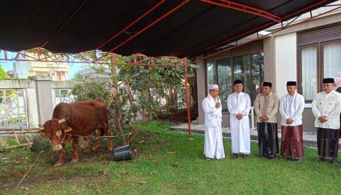 Kado Idul Adha dari Bupati Tasikmalaya: Sapi Limousin untuk Masjid Agung Baiturrahman