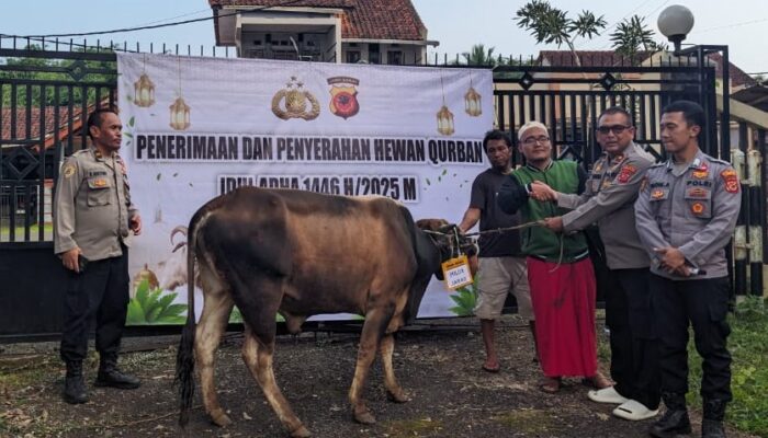 Hari ke-3 Idul Adha, Polres Tasikmalaya Salurkan 43 Hewan Kurban ke Masyarakat dan Ponpes