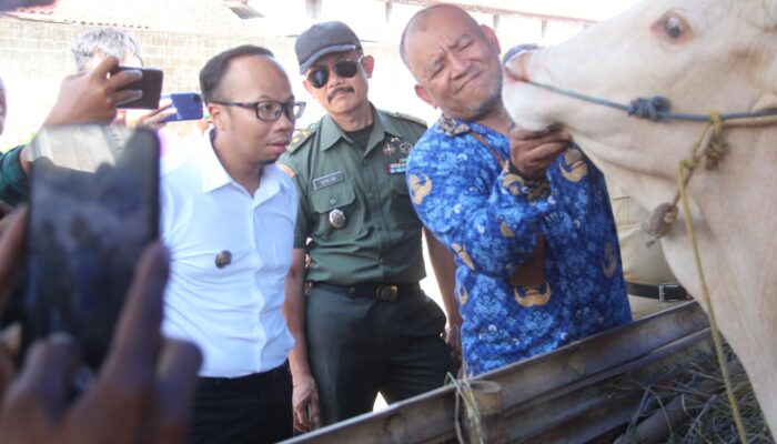 Serius Jaga Kualitas Kurban, Pemkot Tasikmalaya Lakukan Pemeriksaan Ketat Hewan