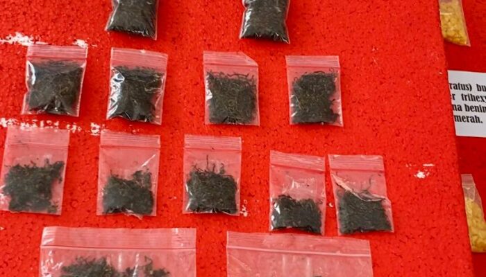Jual Narkoba via Instagram, Sembilan Pelaku Diringkus Polres Tasikmalaya 3 narkoba3