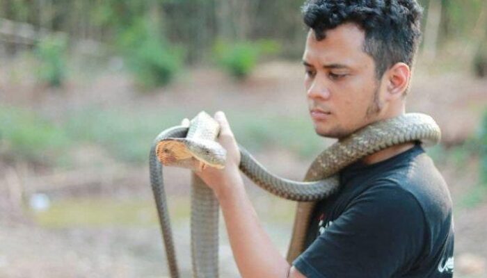 Ancaman Senyap Ular Kobra di Tasikmalaya: Saat Penanganan Medis Jadi Penentu Hidup-Mati