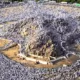 Hari Ini Wukuf di Arafah: Momen Puncak Haji yang Menyatukan Jemaah Seluruh Dunia