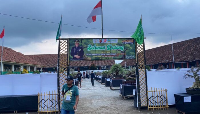Ratusan Bonsai Ramaikan “The Reborn Boyong 3” di Cisayong Tasikmalaya, Peserta Datang dari Luar Pulau