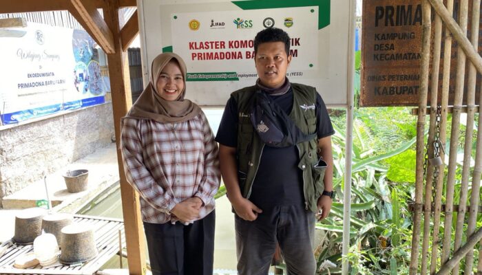 Iyam Maryani Kunjungi Klaster Itik Cihateup Rajapolah, Peternakan Lokal Tembus Pasar Internasional
