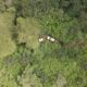 Aktivitas Pembukaan Jalur Offroad di Kaki Gunung Cikuray Disorot: Dikhawatirkan Ancam Ekosistem Hulu Sungai Ciwulan