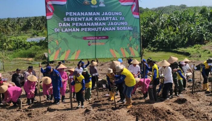 Polres Tasikmalaya Gandeng Petani dan Instansi, Optimalkan 30 Hektare Lahan Jagung