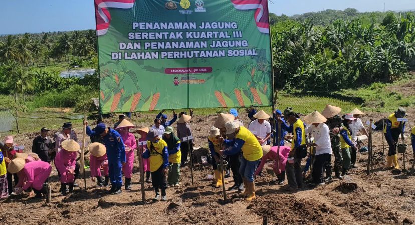 JAGUNG1