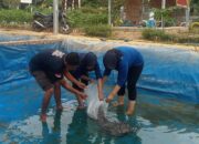 Kelopok Wanita Tani