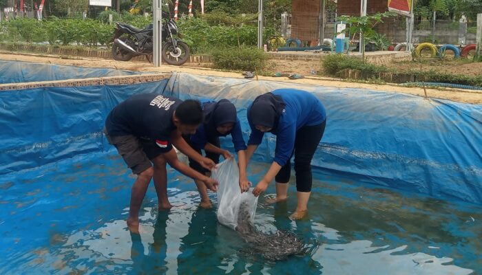 Wakil Bupati Tasikmalaya Resmikan Pokdakan Mina Kahuripan Abadi di Kampung Cilenga