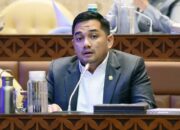 Muhammad Rifqinizamy Karyasuda1