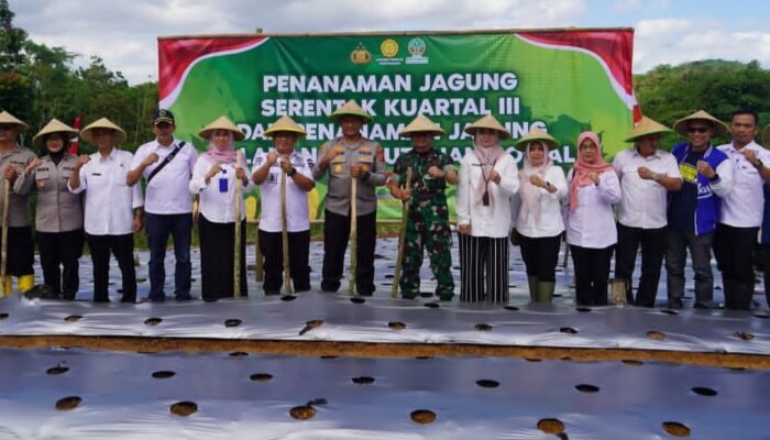 Polres Tasikmalaya Kota Tanam Jagung Serentak, Wujud Nyata Dukung Swasembada Pangan Nasional 2025 2 Screenshot 20250710 091512 Instagram