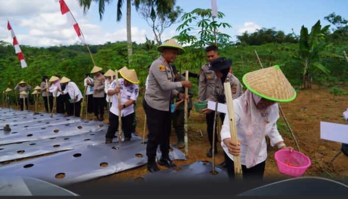 Polres Tasikmalaya Kota Tanam Jagung Serentak, Wujud Nyata Dukung Swasembada Pangan Nasional 2025