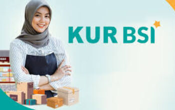 bsi kur