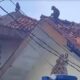 Teror Monyet Liar di Siang Bolong, Warga Sukaraja Tasikmalaya Heboh