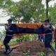 Tangis Pecah Saat Nabila Dimakamkan, Sabhara Polres Tasikmalaya Menjadi Bahu Terakhirnya