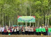 IMG 20250808 WA0015