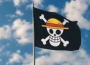 bendera one piece