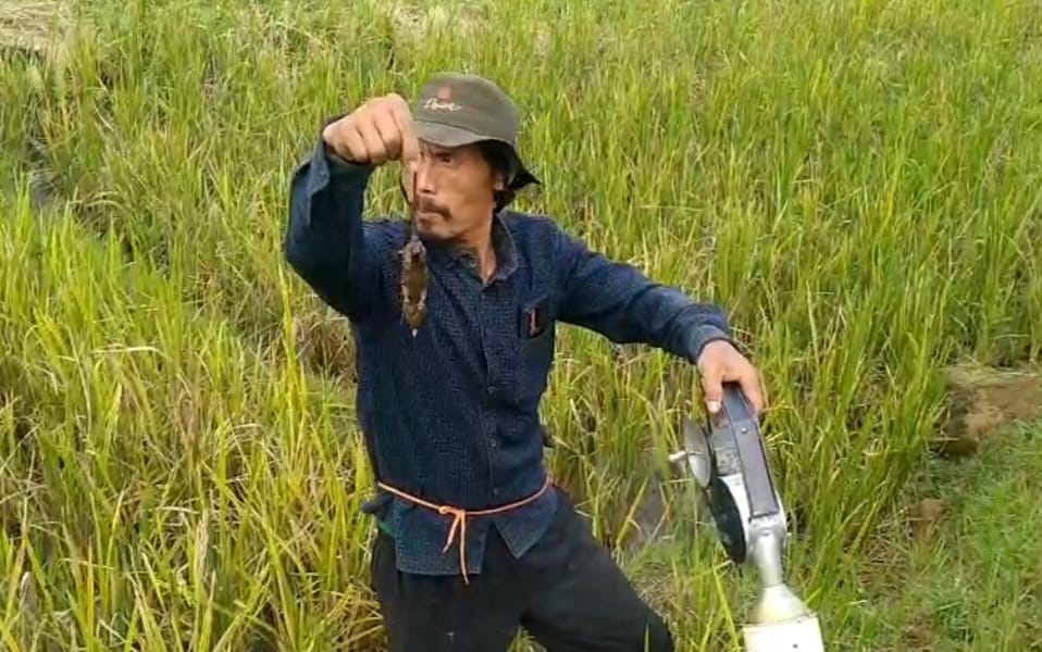 gagal panen1