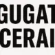 gugat cerai