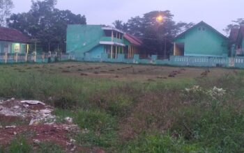 Karangnunggal