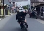 motor ugal