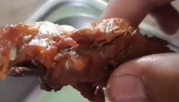 Lagi, Kualitas MBG Dipertanyakan: Dari Nasi Kuning Masam di Cisayong hingga Belatung di Singaparna