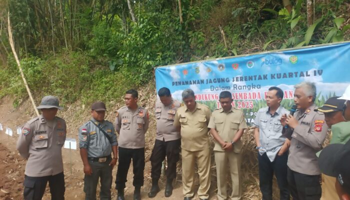 Polsek Cisayong Tanam Jagung Kuartal IV di Desa Sukahening