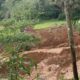 Longsor Satu Hektare Terjadi di Cisayong, Camat Imbau Warga Waspada