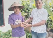 SPP Karangjaya Distribusikan 5.000 Bibit Kelapa dan Balsa, Dorong Penggarapan Lahan Bekas HGU