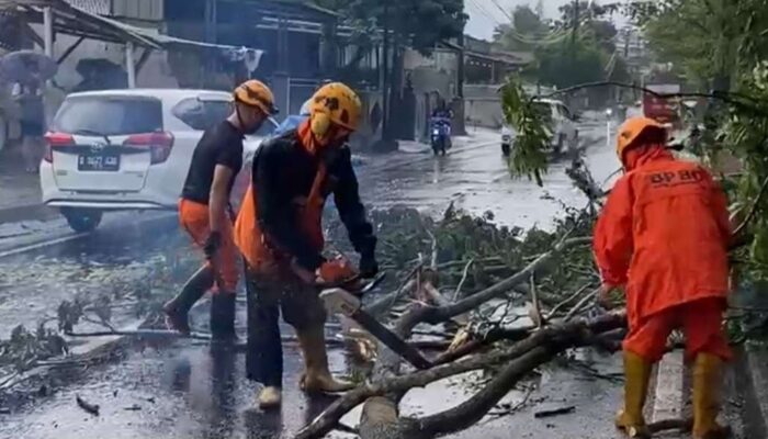 Cuaca Ekstrem Terjang Kota Tasikmalaya pada 1 November, 19 Kejadian Bencana Terjadi dalam Sehari