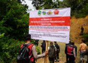 Salopa Gempar! 43 Lubang Tambang Emas Ilegal Ditutup Aparat Gabungan