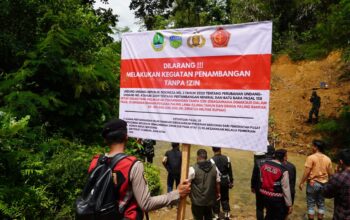 Salopa Gempar! 43 Lubang Tambang Emas Ilegal Ditutup Aparat Gabungan