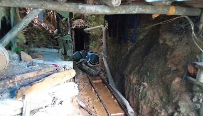 Izin Tambang Emas di Tasikmalaya Mandek, 27 Lubang Ilegal Masuk Kawasan Hutan