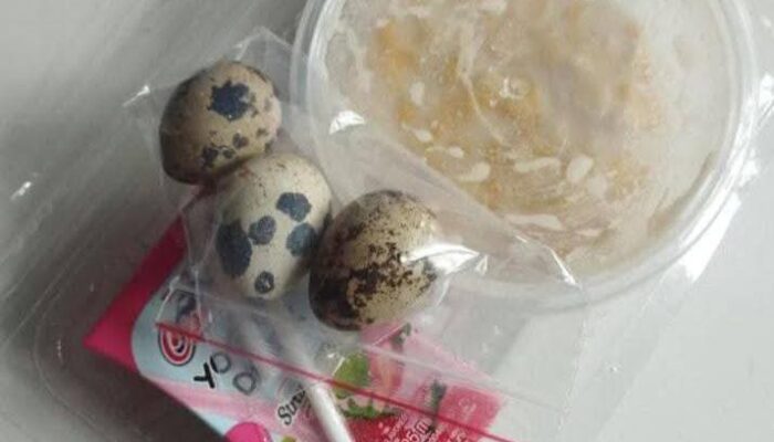 Telur Puyuh Mentah di Menu MBG Sodonghilir Viral, Camat Langsung Tegur Dapur Penyaji
