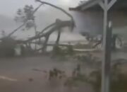 Cuaca Ekstrem Terjang Kota Tasikmalaya, Pohon Tumbang Timbun Jalan di Cilembang