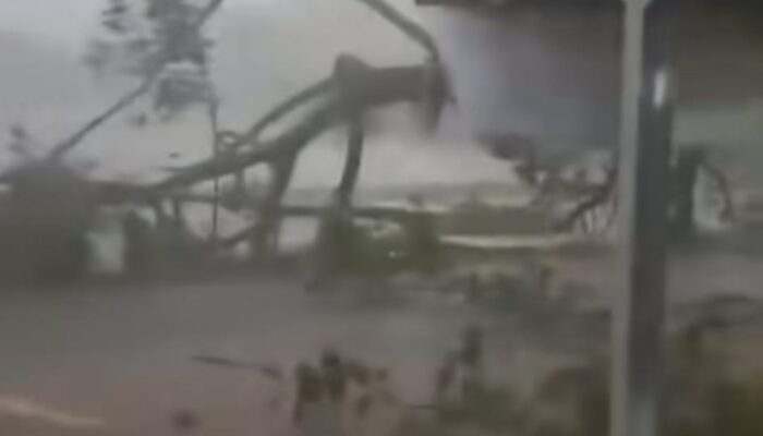 Cuaca Ekstrem Terjang Kota Tasikmalaya, Pohon Tumbang Timbun Jalan di Cilembang