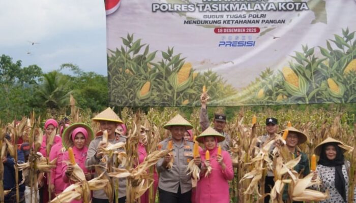 Polres Tasikmalaya Kota Bersama Petani Panen Raya Jagung di Kawalu