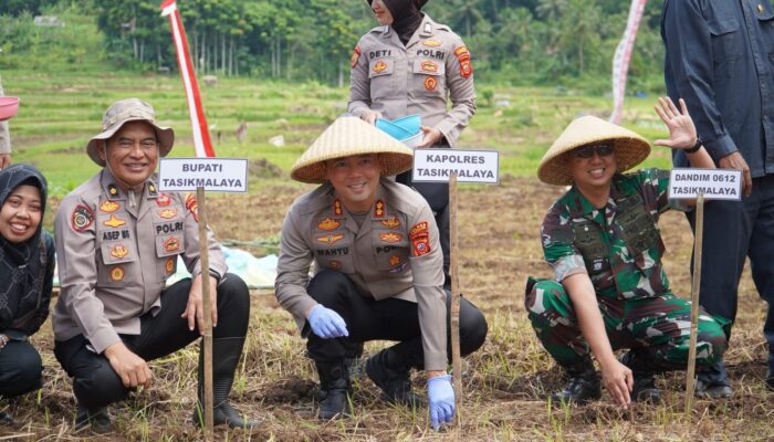 Dukung Swasembada Pangan 2026, Polres Tasikmalaya Tanam Jagung Serentak di 22 Hektare Lahan