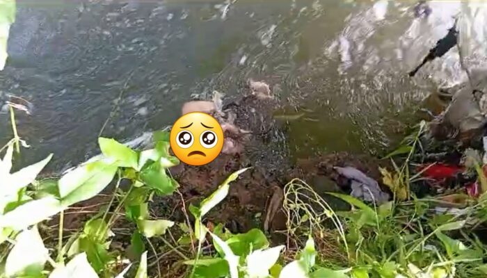 Tragis! Zaidan (5) yang Hilang di Kelurahan Tugujaya Ditemukan Meninggal di Sungai