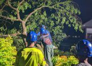 Angin Kencang Tumbangkan Pohon di Padakembang, Akses Jalan Sempat Terputus dan Listrik Terganggu