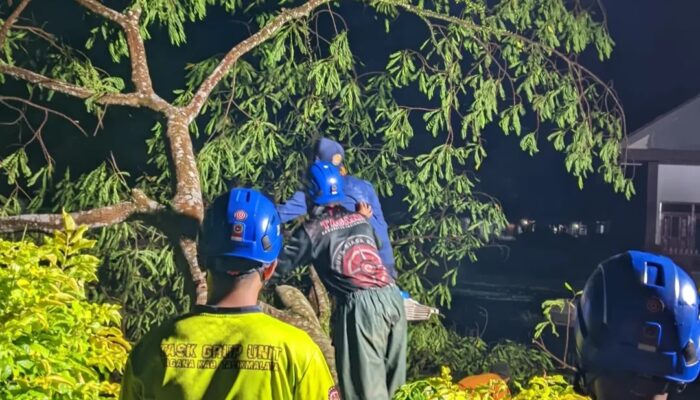Angin Kencang Tumbangkan Pohon di Padakembang, Akses Jalan Sempat Terputus dan Listrik Terganggu