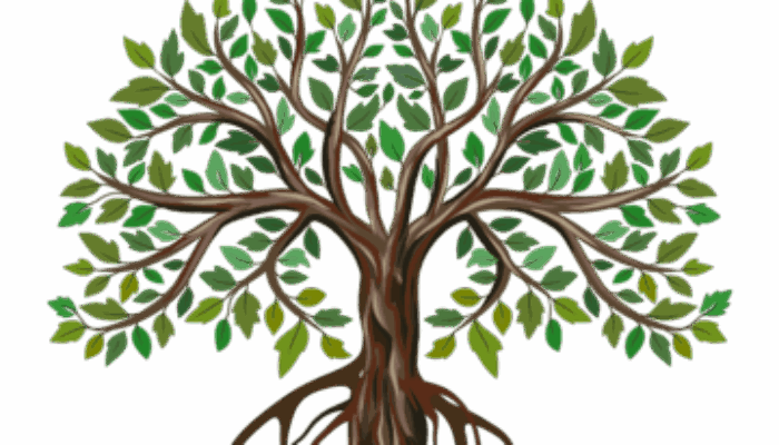 Akar Rumput dalam Sejarah Islam: Ketika Kaum Lemah Menjadi Kekuatan Perubahan