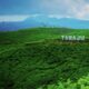 Pesona Kebun Teh Taraju Tasikmalaya, Surga Hijau dengan Udara Sejuk di Selatan Priangan
